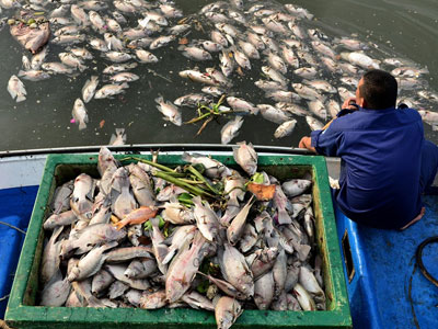 Ảnh bìa bài viết 362830