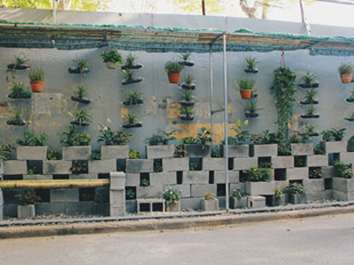 Ảnh bìa bài viết 363688