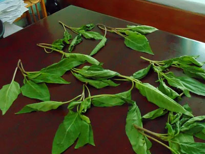 Ảnh bìa bài viết 364799