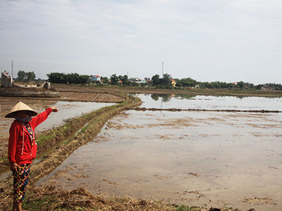 Ảnh bìa bài viết 365520