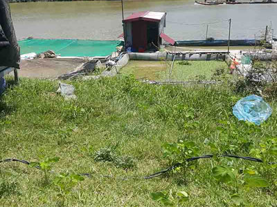Ảnh bìa bài viết 366913