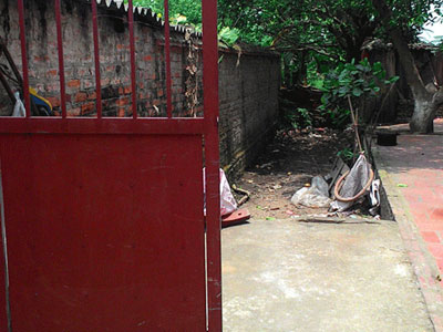Ảnh bìa bài viết 367056
