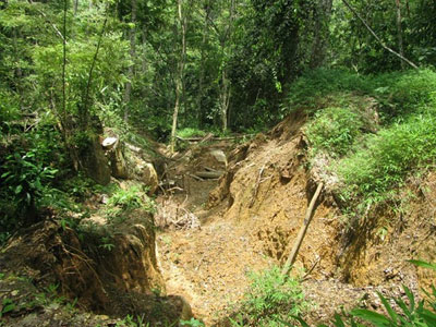 Ảnh bìa bài viết 367564