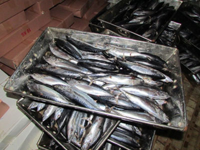 Ảnh bìa bài viết 369109