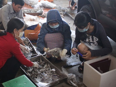 Ảnh bìa bài viết 369450