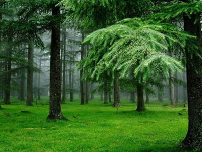 Ảnh bìa bài viết 369884