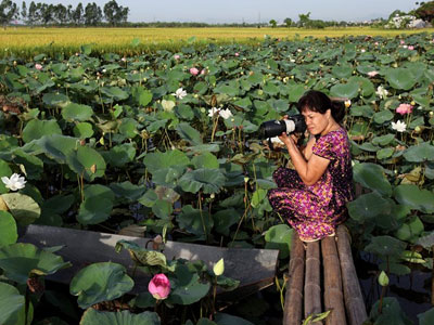 Ảnh bìa bài viết 369986