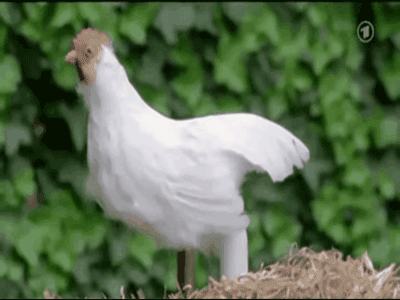 Ảnh bìa bài viết 371317
