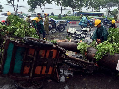 Ảnh bìa bài viết 372696