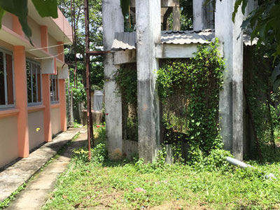 Ảnh bìa bài viết 374130