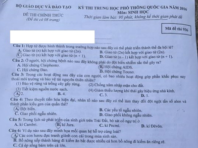 Ảnh bìa bài viết 374434