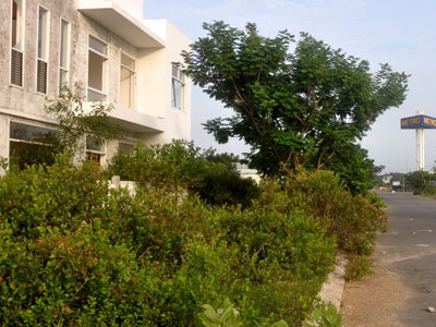Ảnh bìa bài viết 374482