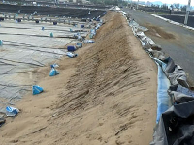 Ảnh bìa bài viết 374502