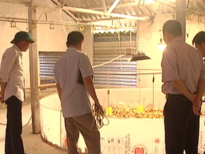 Ảnh bìa bài viết 375554