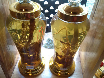 Ảnh bìa bài viết 376356