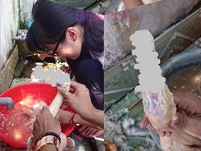 Ảnh bìa bài viết 376412