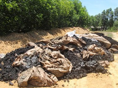 Ảnh bìa bài viết 376506