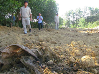 Ảnh bìa bài viết 376584