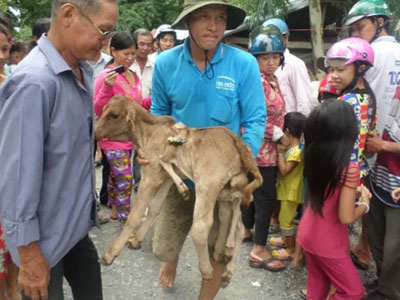 Ảnh bìa bài viết 377350