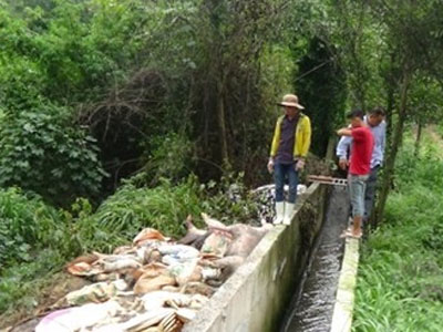 Ảnh bìa bài viết 377302