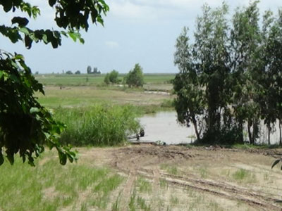 Ảnh bìa bài viết 377554