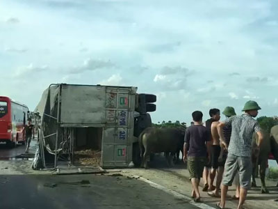 Ảnh bìa bài viết 377872