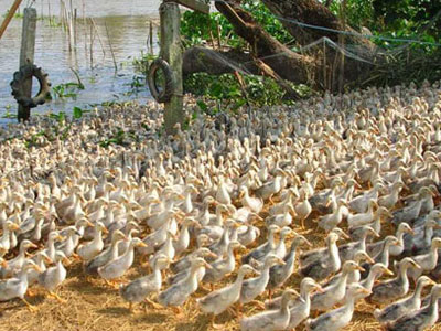 Ảnh bìa bài viết 377676