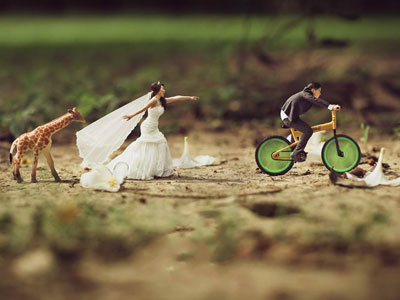 Ảnh bìa bài viết 377895