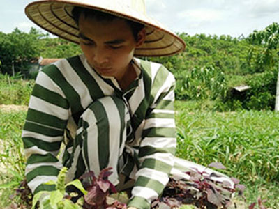 Ảnh bìa bài viết 377904