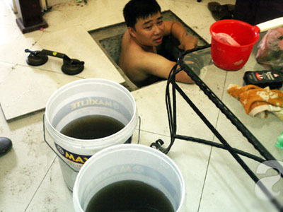Ảnh bìa bài viết 378204