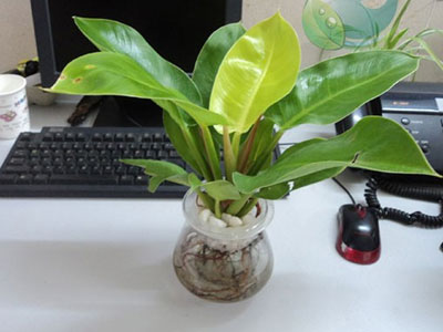 Ảnh bìa bài viết 378286