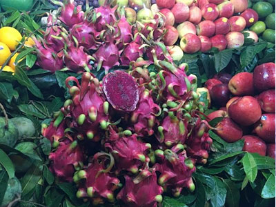 Ảnh bìa bài viết 379024