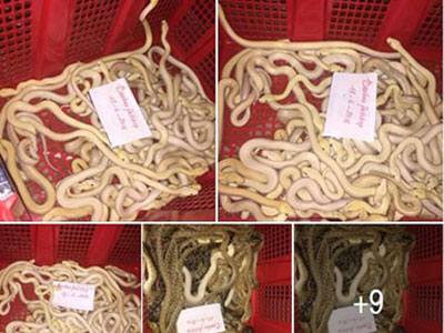 Ảnh bìa bài viết 379118