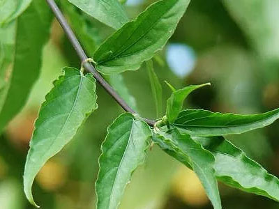 Ảnh bìa bài viết 379177