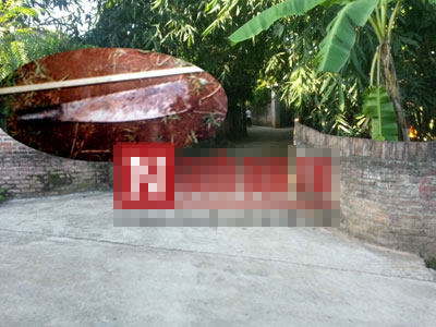 Ảnh bìa bài viết 379709