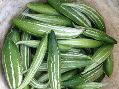Ảnh bìa bài viết 380381