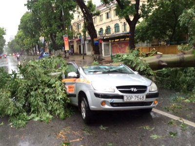 Ảnh bìa bài viết 380241