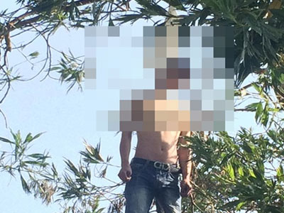 Ảnh bìa bài viết 381335