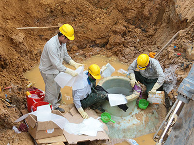 Ảnh bìa bài viết 381060