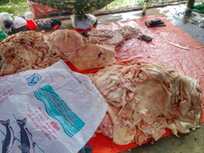 Ảnh bìa bài viết 382496