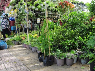 Ảnh bìa bài viết 382701