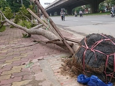 Ảnh bìa bài viết 383372