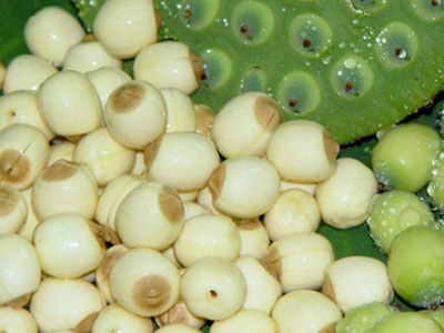 Ảnh bìa bài viết 383478