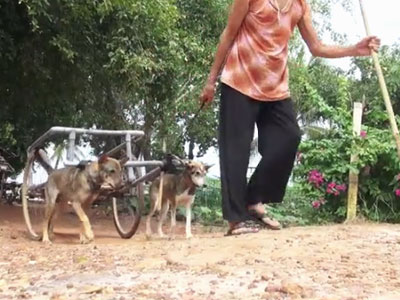Ảnh bìa bài viết 384075