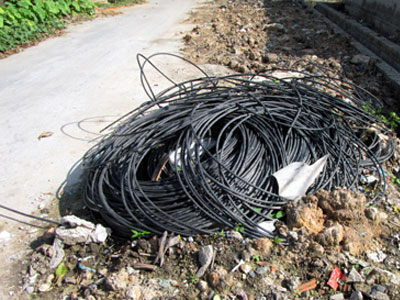 Ảnh bìa bài viết 384751