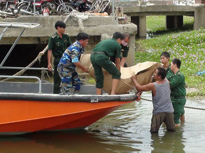 Ảnh bìa bài viết 385440