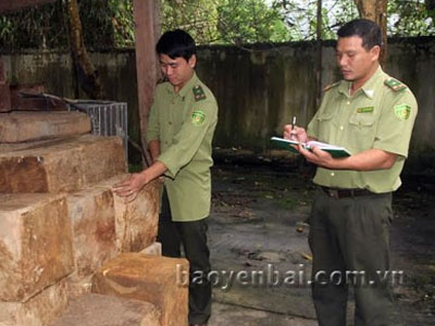 Ảnh bìa bài viết 385727