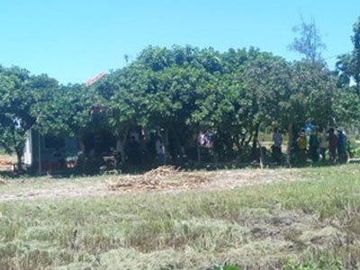 Ảnh bìa bài viết 386247