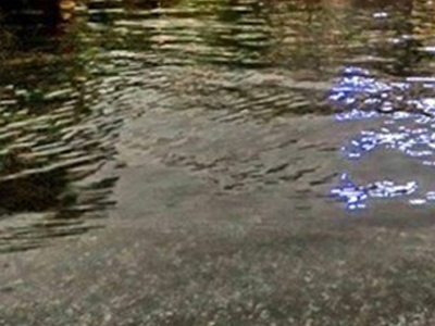 Ảnh bìa bài viết 387564