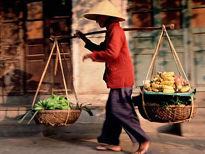 Ảnh bìa bài viết 388258